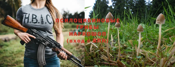 Альфа ПВП Алзамай