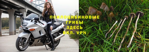 меф Алексин