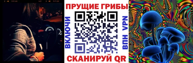ссылка на мегу маркетплейс  Новочебоксарск  Псилоцибиновые грибы Magic Shrooms 